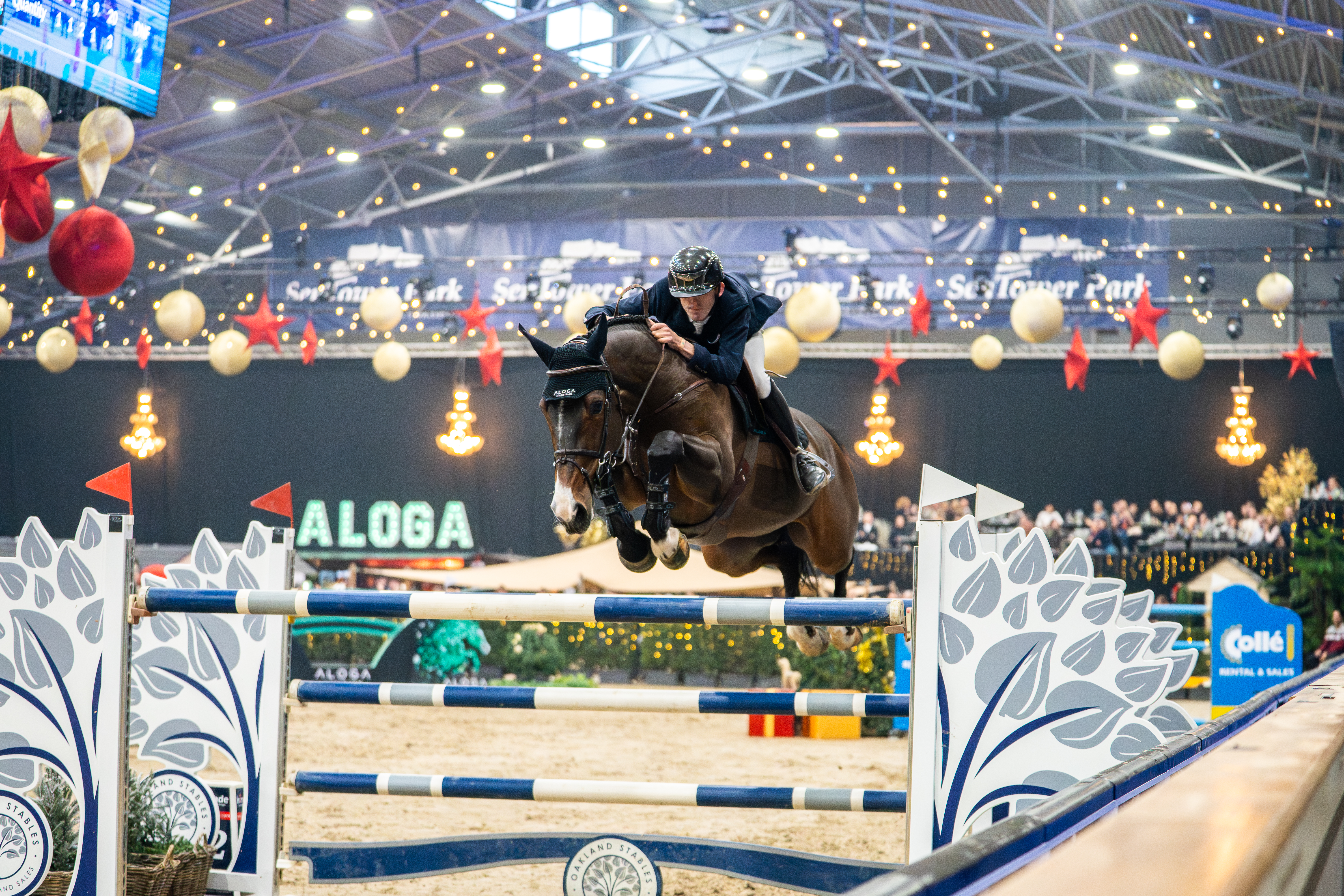 World-class showjumping